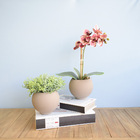 Arranjo De Orquídea Artificial Coral No Vaso Fendi | Formosin